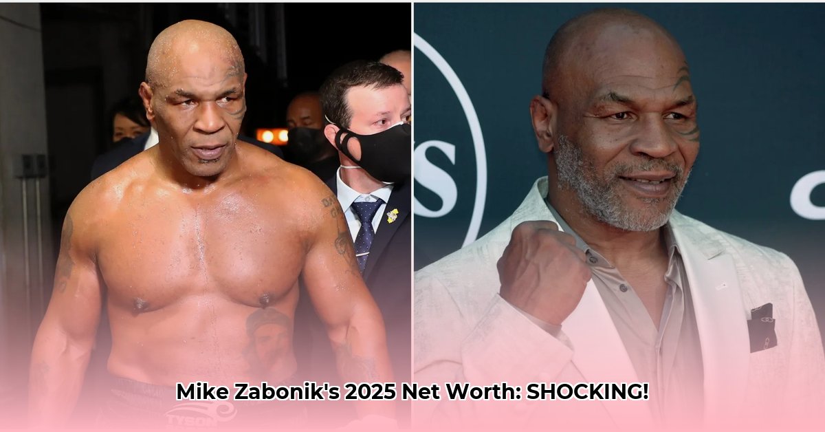 mike-zabonik-net-worth